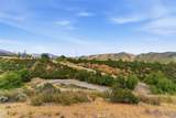 33737 Steele - Photo 8