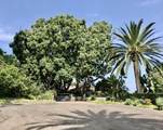 5505 Codorniz (Gate House) - Photo 4
