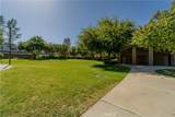 25409 Holly Beach Drive - Photo 37