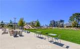 187 Biome - Photo 31