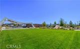 187 Biome - Photo 34
