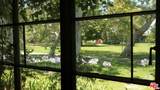 5328 Village - Photo 1