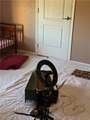 9270 4th 4th Avenue - Photo 29