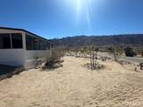 6597 Mesquite Springs - Photo 55