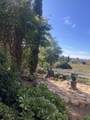 14946 Fruitvale Road - Photo 19