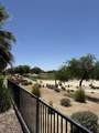 81211 Camino Lampazos - Photo 20