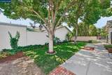 671 Starling Ave - Photo 8
