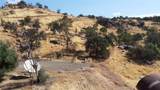 38938 Pepperweed Rd - Photo 10