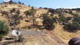 38938 Pepperweed Rd - Photo 3