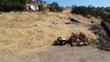 38938 Pepperweed Rd - Photo 7