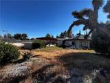 14981 Pamlico - Photo 9