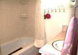 31705 Silver Spruce Drive - Photo 8