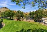 31233 Romero Canyon - Photo 13