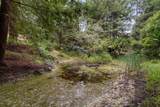 163 Buzzard Lagoon Road - Photo 37