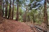 163 Buzzard Lagoon Road - Photo 74