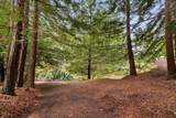 163 Buzzard Lagoon Road - Photo 75