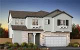 8625 Areca Lane - Photo 1