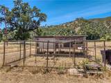 1623 New Long Valley Road - Photo 34