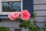 1324 Maplegrove - Photo 6