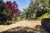 13615 Old Morro Road - Photo 15