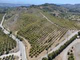 7905 Balcom Canyon Road - Photo 37