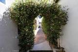 8010 Bay Hill - Photo 40
