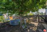 4916 Happy Valley Road - Photo 43