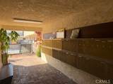 25711 Frampton - Photo 2