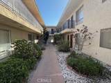 25711 Frampton - Photo 8