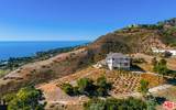 6007 Trancas Canyon Road - Photo 2