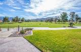 4809 Forest Oaks - Photo 43