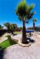 16830 Ocotilla Road - Photo 22