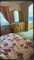 119 Arabian - Photo 13