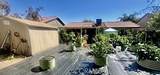 119 Arabian - Photo 3