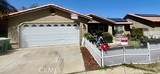 119 Arabian - Photo 4