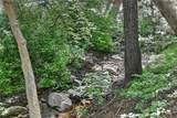 501 Dogwood Canyon - Photo 43