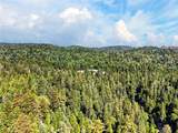 501 Dogwood Canyon - Photo 56