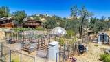 24087 Clover Spring - Photo 69