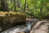 20929 Fall Creek Rd - Photo 10