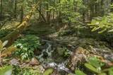 20929 Fall Creek Rd - Photo 8