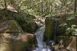 20929 Fall Creek Rd - Photo 9