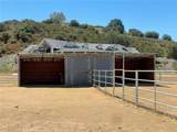 37492 Calle De Lobo - Photo 48