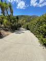 1361 De Luz Road - Photo 14
