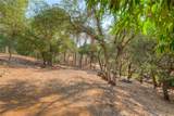 51 Ward Boulevard - Photo 35