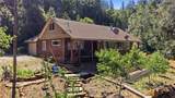40 White Fir - Photo 1