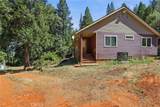 40 White Fir - Photo 40