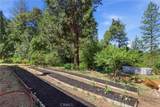 40 White Fir - Photo 41