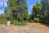 40 White Fir - Photo 44