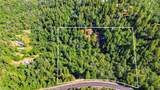 40 White Fir - Photo 46