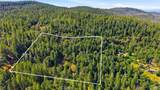 40 White Fir - Photo 48